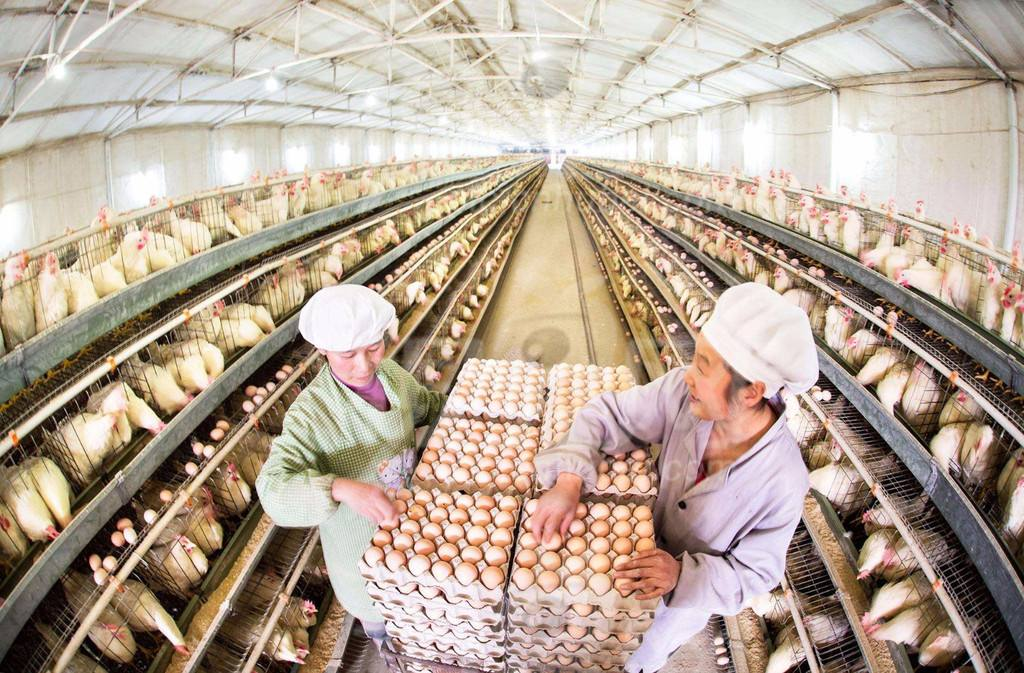 香港宝典六资料大全