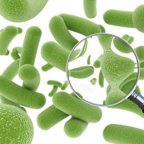 香港宝典六资料大全