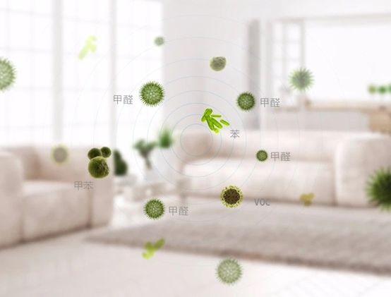 香港宝典六资料大全