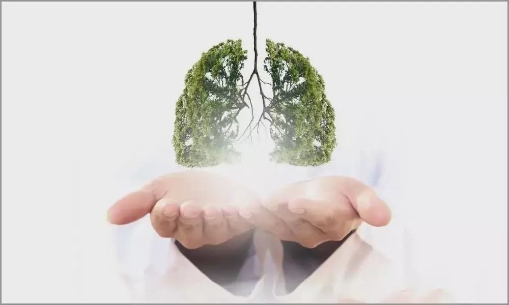 63354727610b8.jpg v2-3fe8b56958bc8f5457cd6976447b4310_720w.jpg